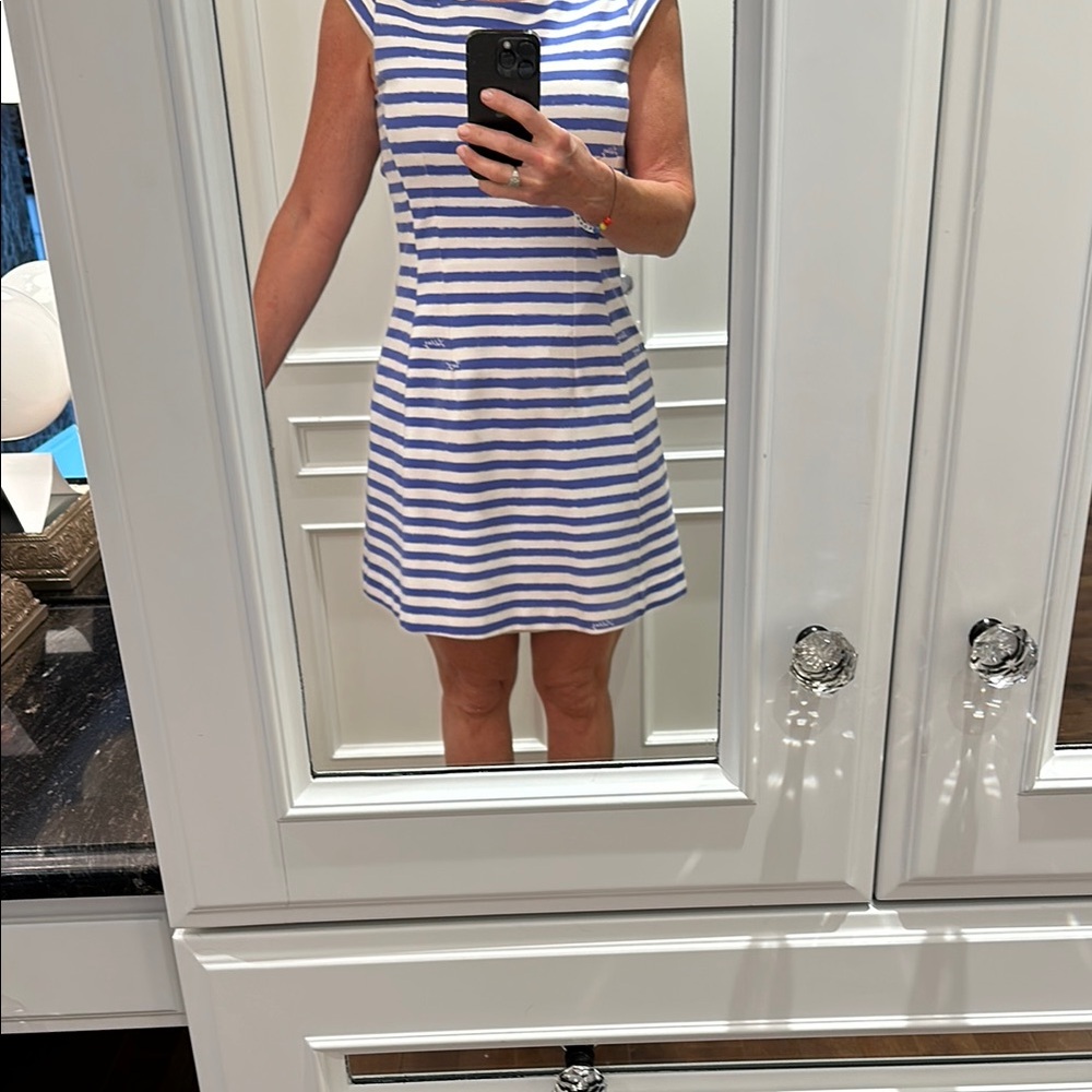 Lilly Pulitzer Blue and White Sleeveless A-Line Mini Dress